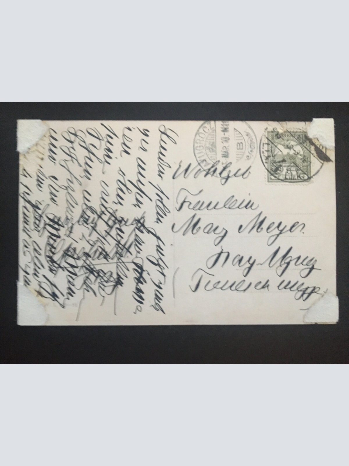 Hilferuf! (A.Gassner) - Pferd bei gefallenen Soldat 270068 TH