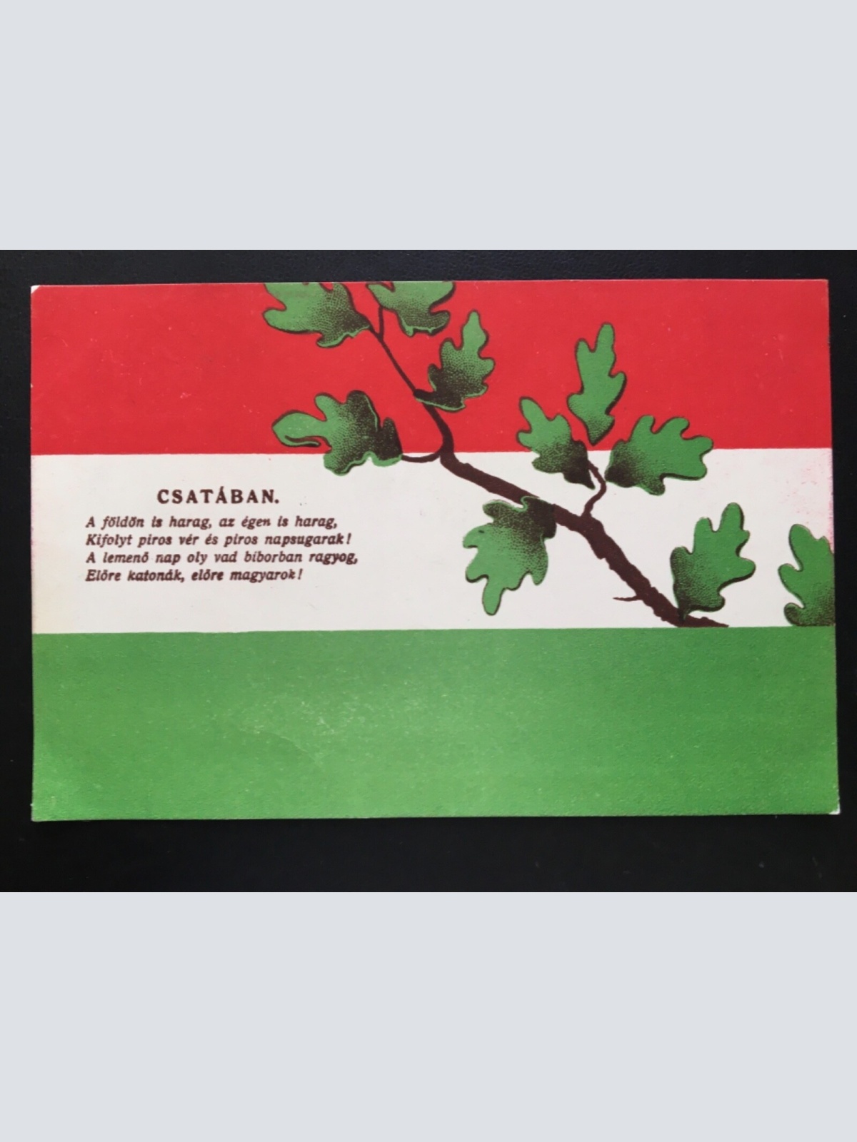 Im Kampf - Csataban - Ast mit Eichelblätter 270041 TH