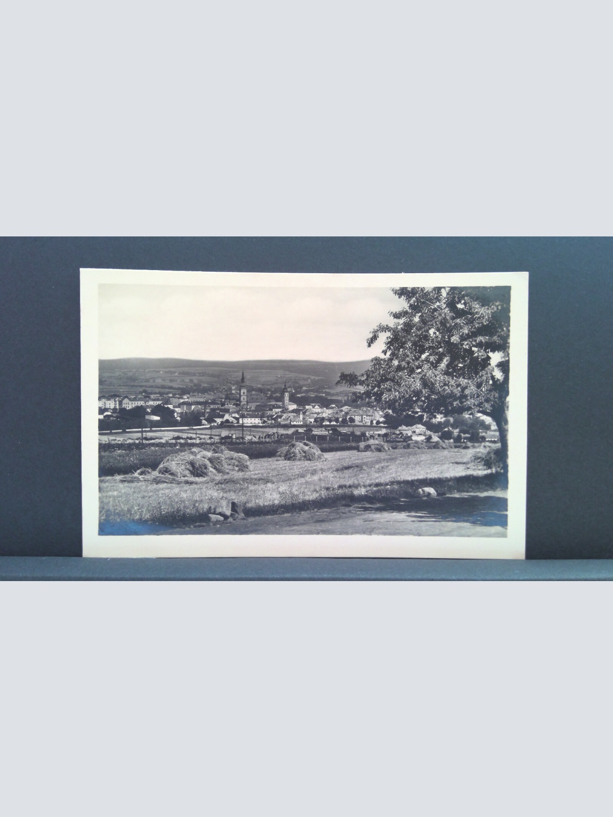 Wischau Gesamtansicht JW 500195 C