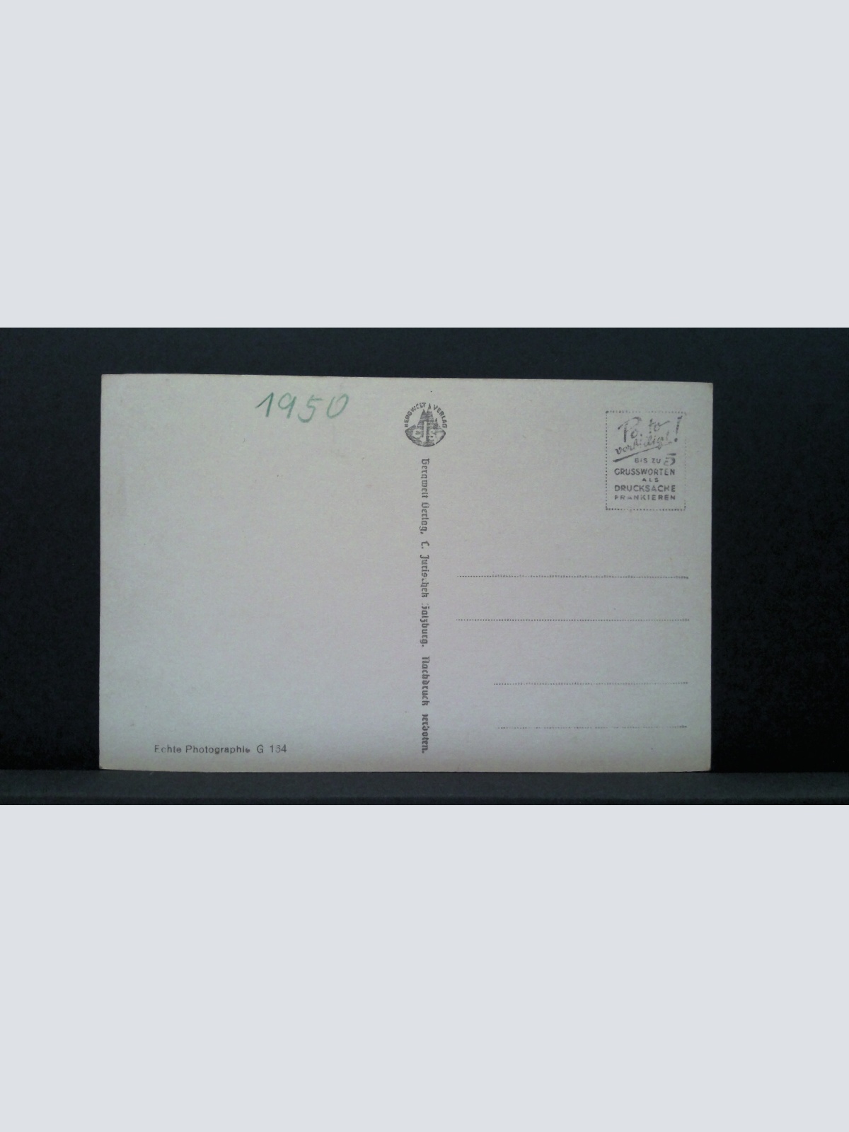 Golling Jochalm im Bluntautal Kühe JW 500286 C