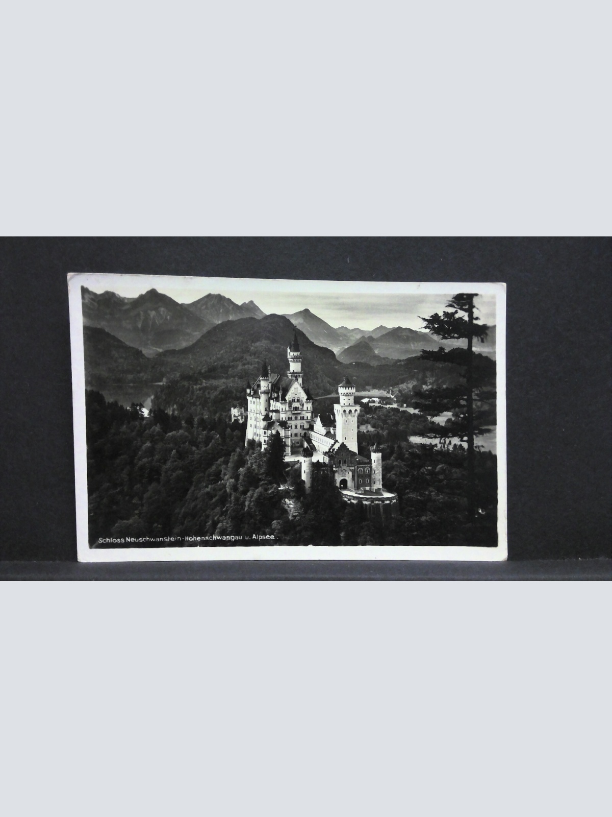 Schloss Neuschwanstein Hohenschwangau Alpsee 400509 jw J
