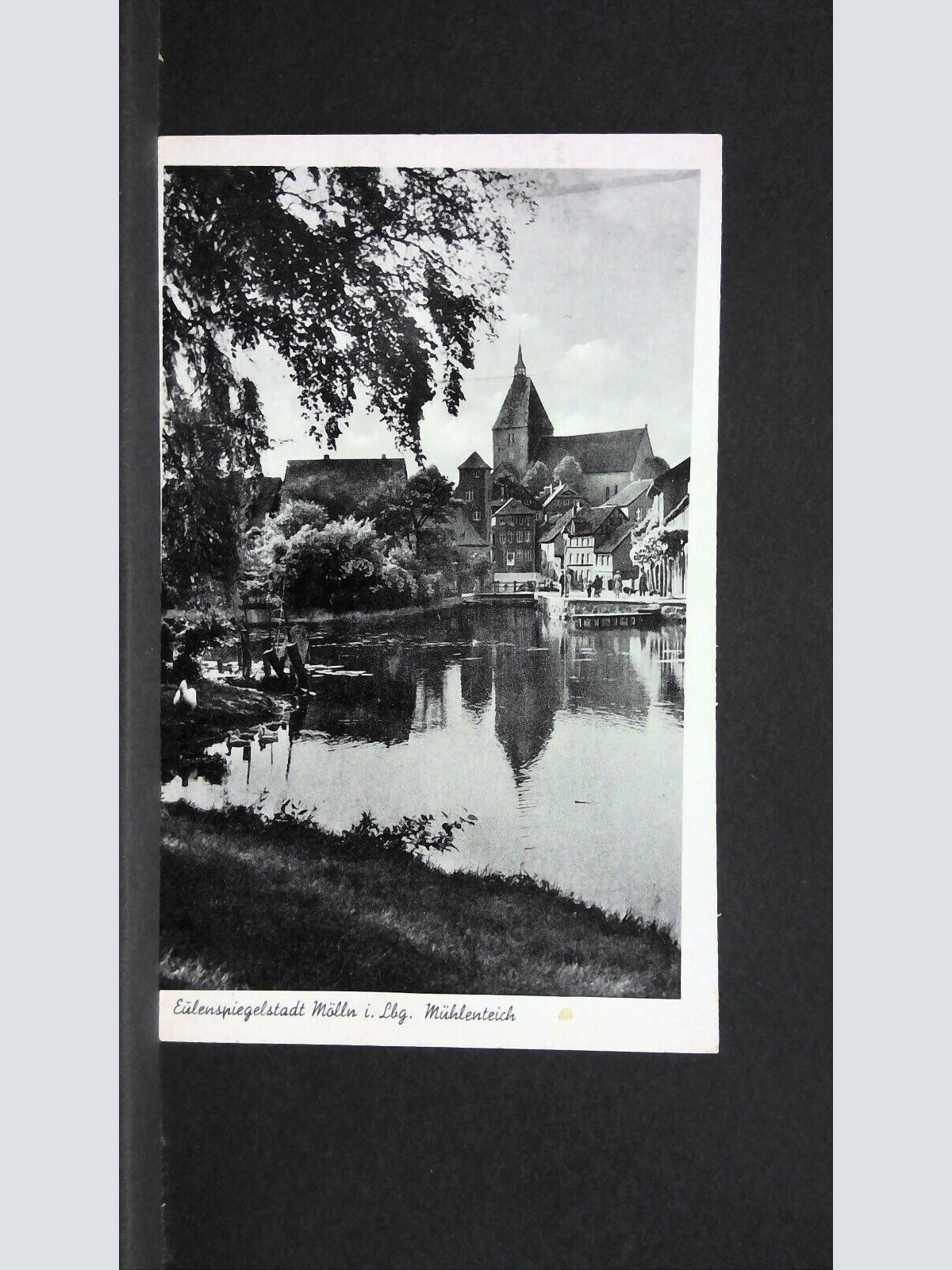 Eulenspiegelstadt Mölln i Lbg Mühlenteich 110232 jw J