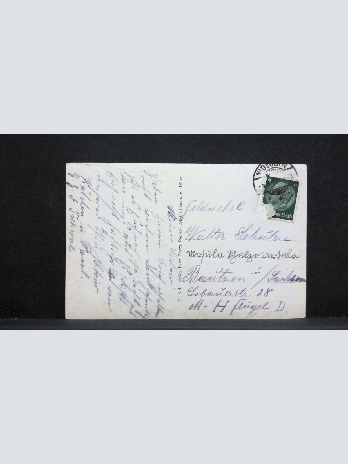 Nideggen Eifel Die Burg und Nideggerbrücke 140453 jw J