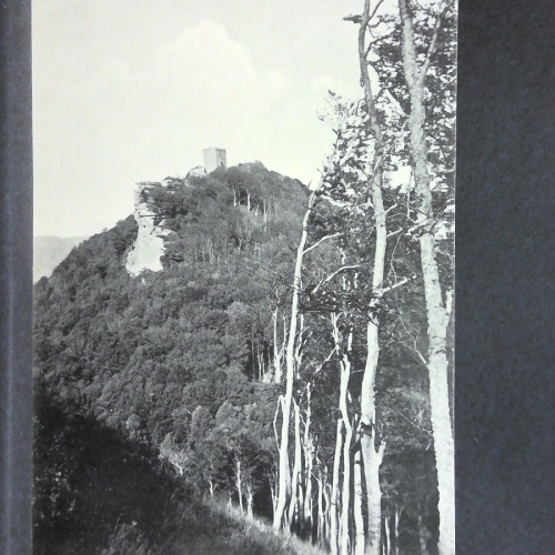 Blick auf Trifels Berg Wald 140467 jw J