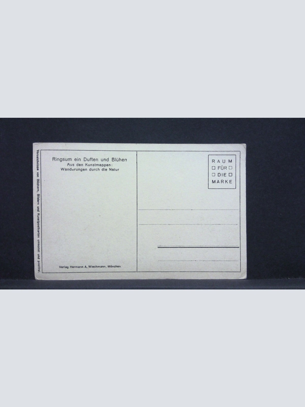 Wald Wiese Bach Ringsum ein Duften und Blühen Naturwanderungen 20099 jw J