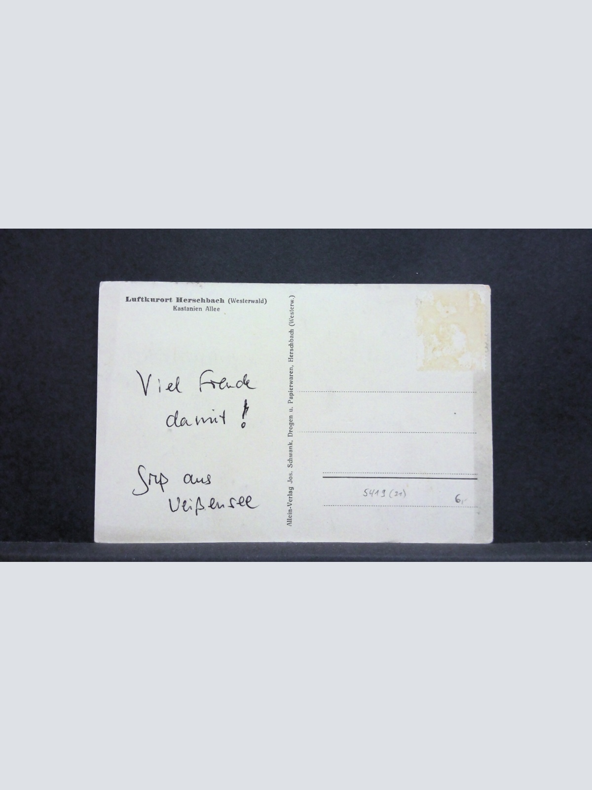 Kastanien Allee Luftkurort Herschbach 180273 jw J