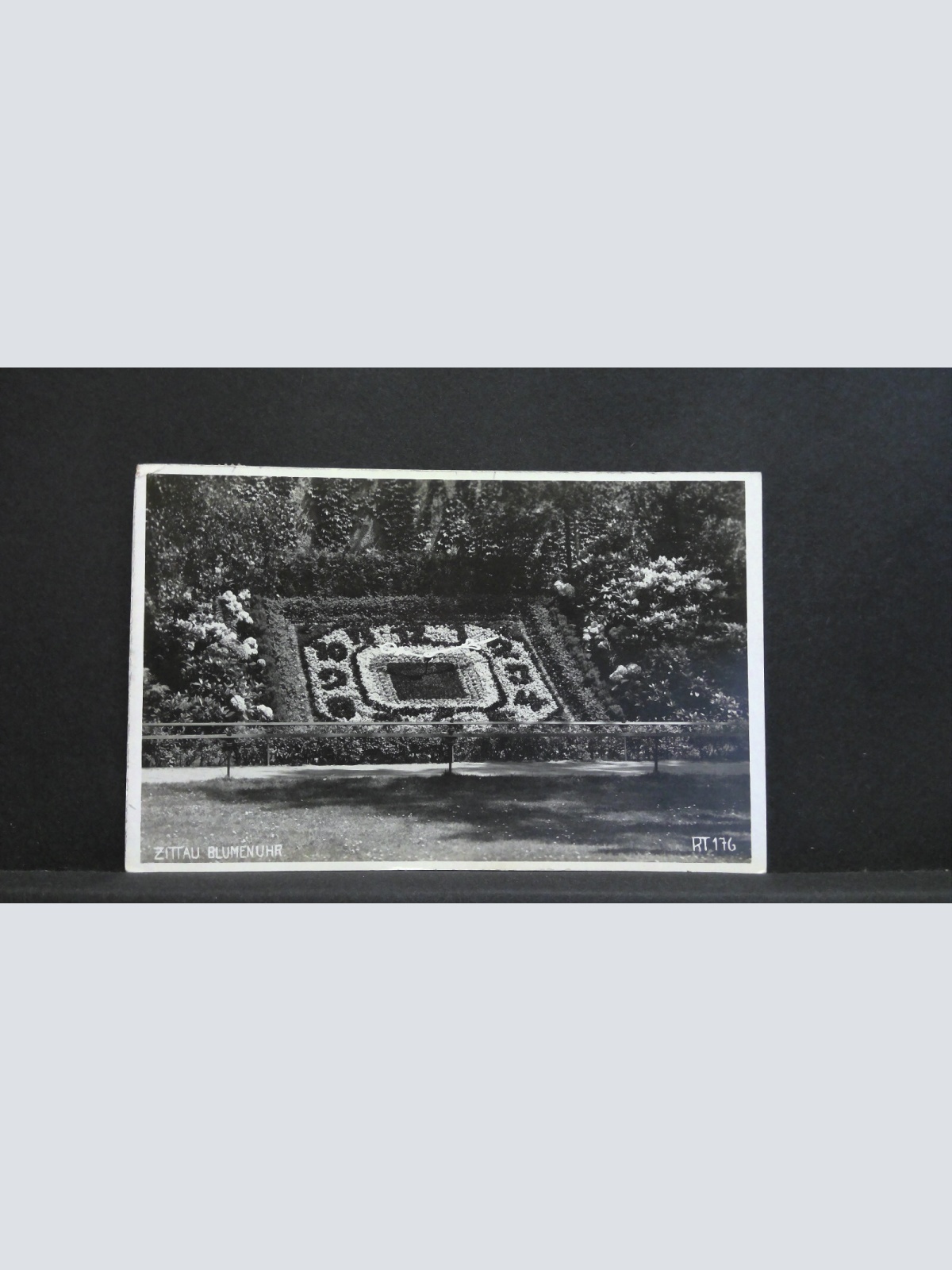 Zittau Blumenuhr 82031 jw J
