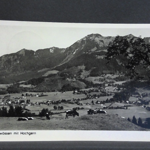 Unterwössen mit Hochgern Berg Kühe 140421 jw J