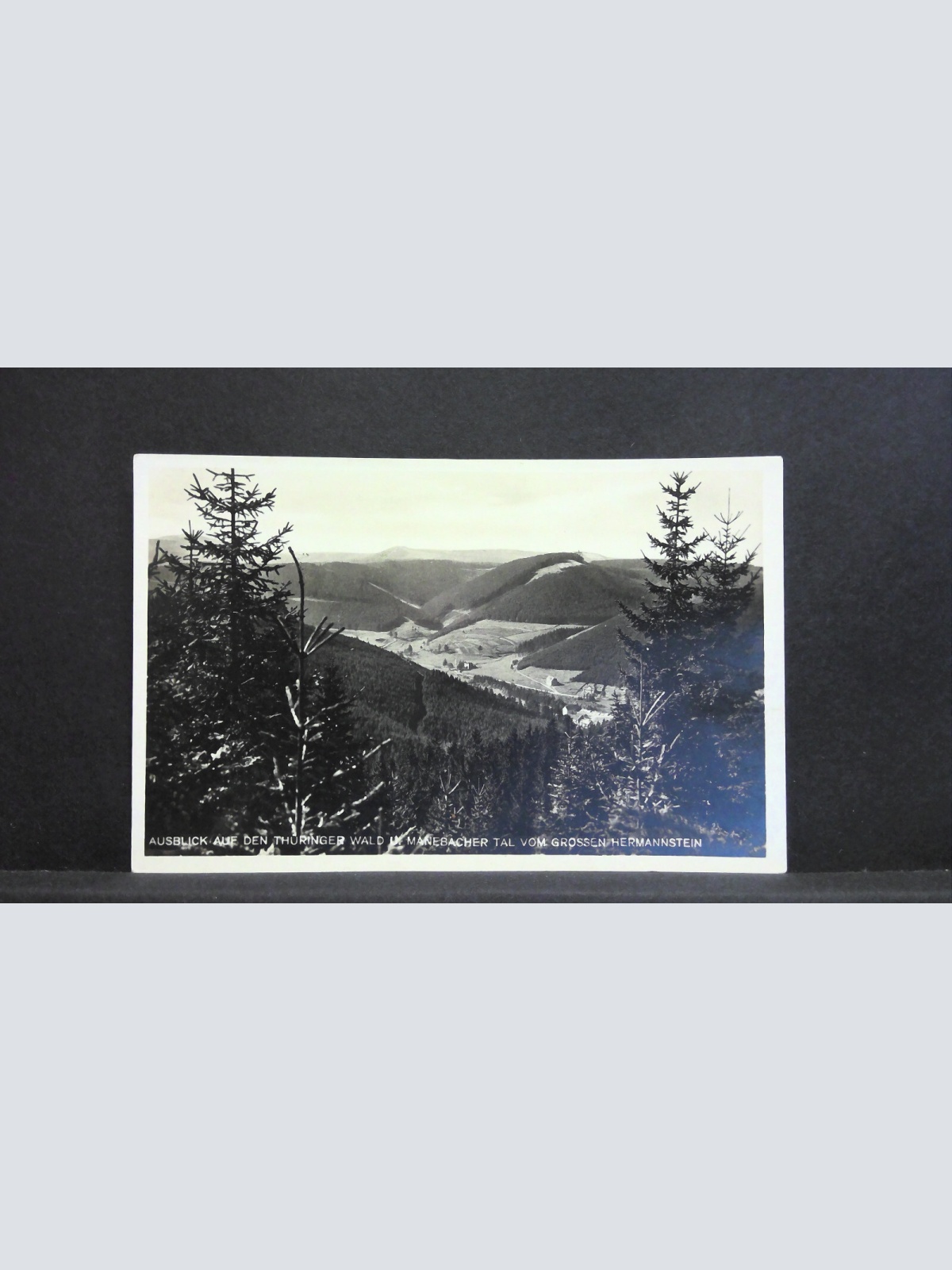 Ausblick a d Thüringer Wald und Manebacher Tal v Großen Hermannstein 140439 jw J