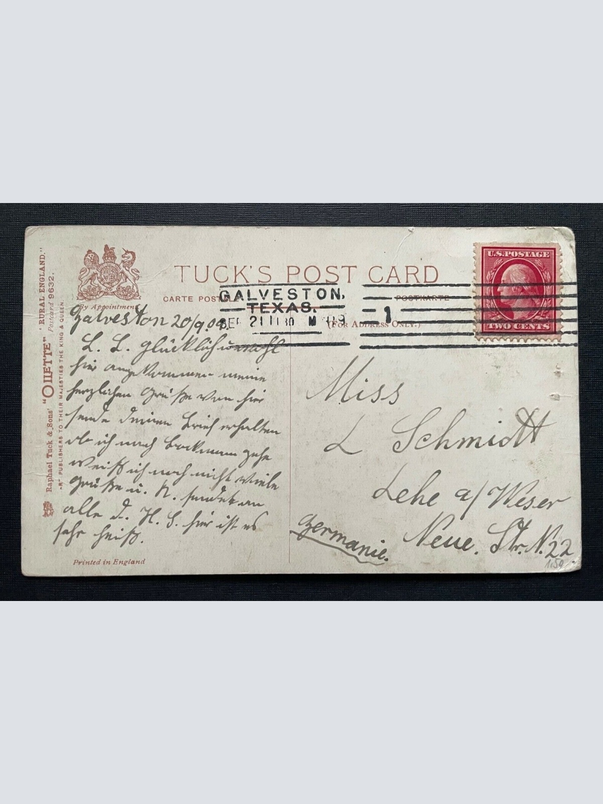 An old fashioned team Bauer Ochsen Wagen Sussex H.Payne England GB 401042 TH A