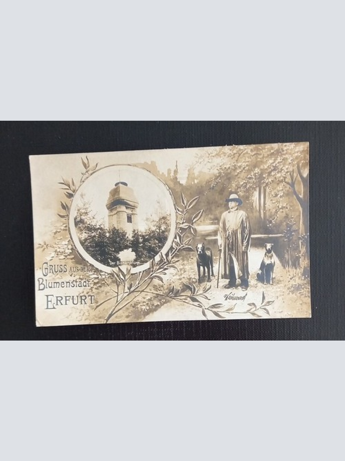 Erfurt Der Bismarckturm Bismarck Mit Hunde 650303 G