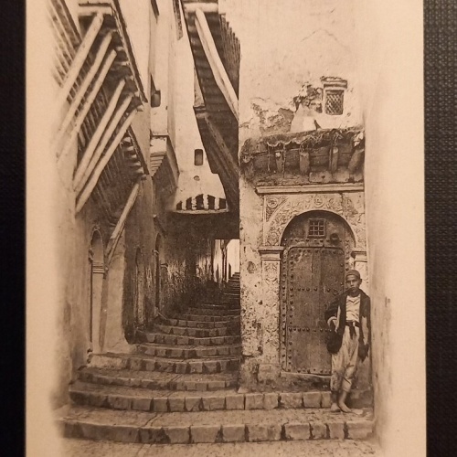 N 27 Alger Rue Du Chameau 800046 Ga E