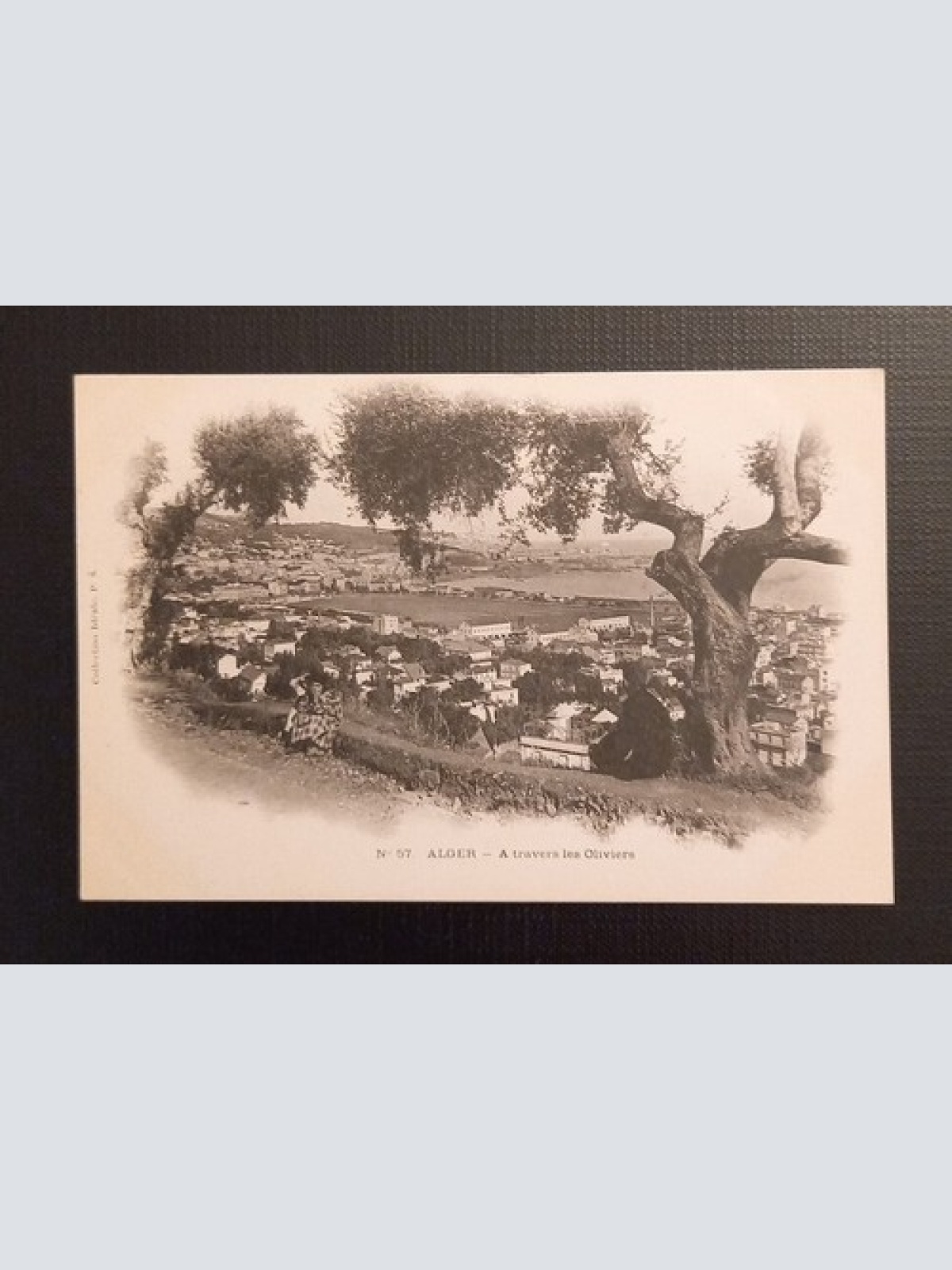N 57 Alger A Travers Les Oliviers 800048 Ga E