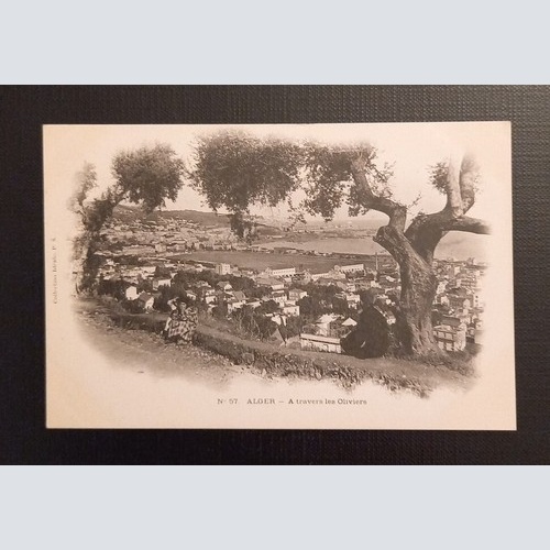 N 57 Alger A Travers Les Oliviers 800048 Ga E