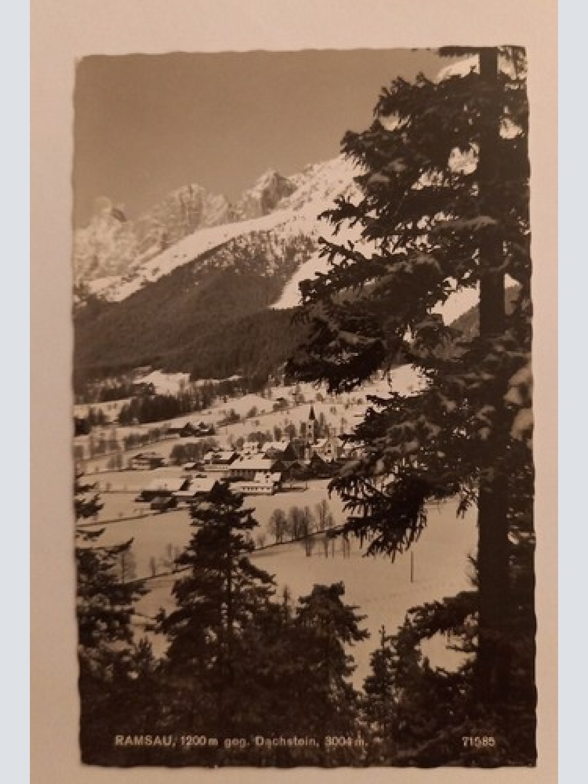 Ramsau Österreich 600025 gr D