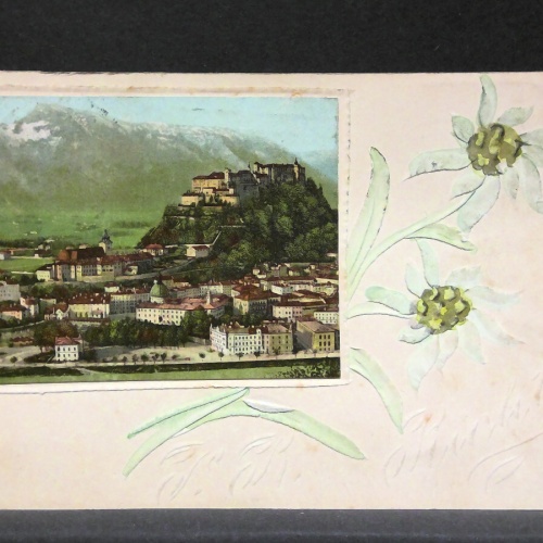 Salzburg Schloss Hohensalzburg Edelweiß JW165764