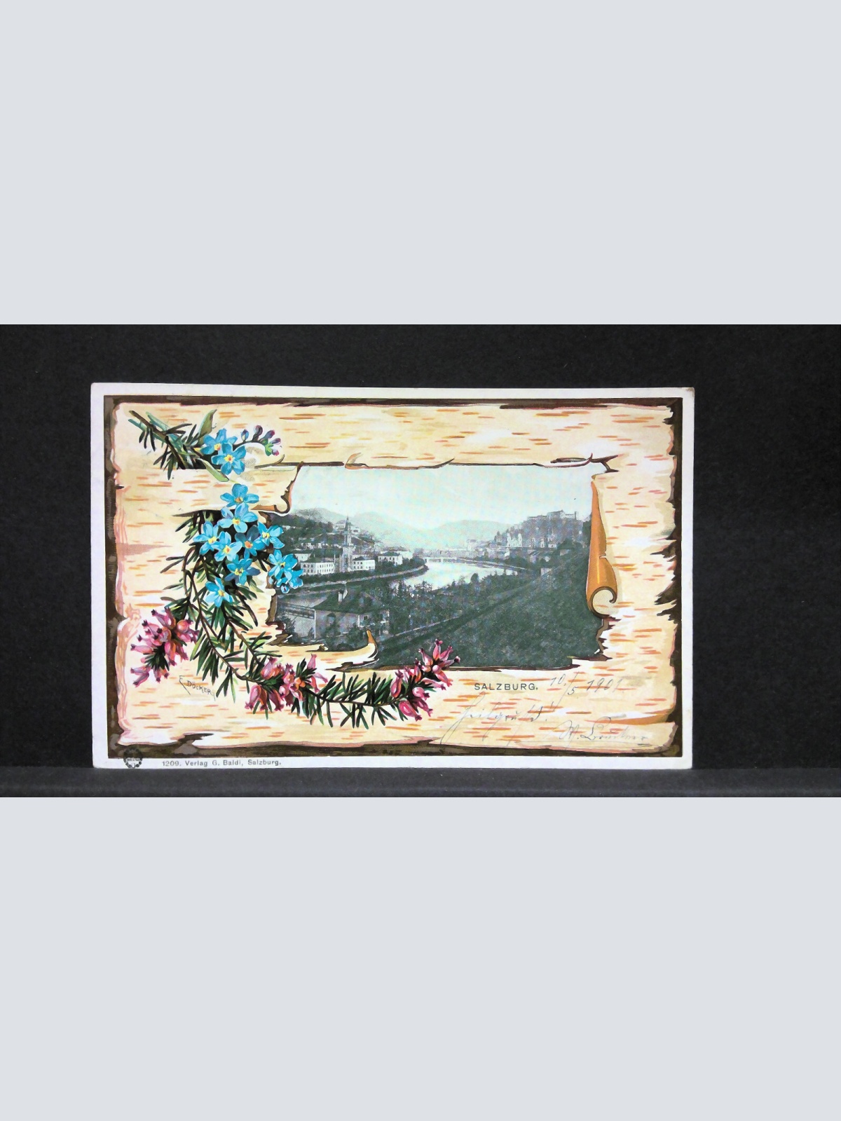 Salzburg Salzach Blumen Zweige JW5746