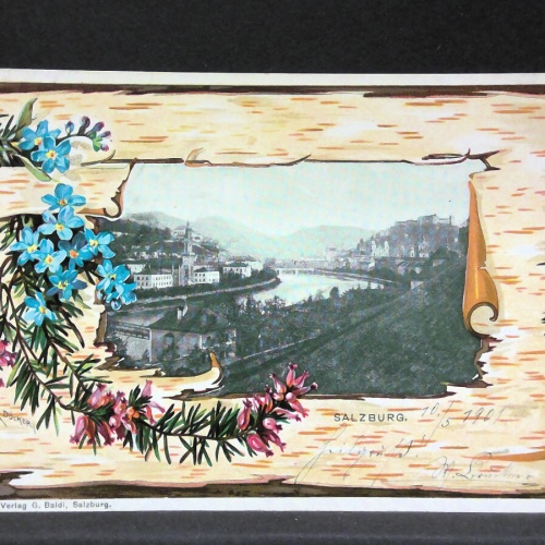 Salzburg Salzach Blumen Zweige JW5746