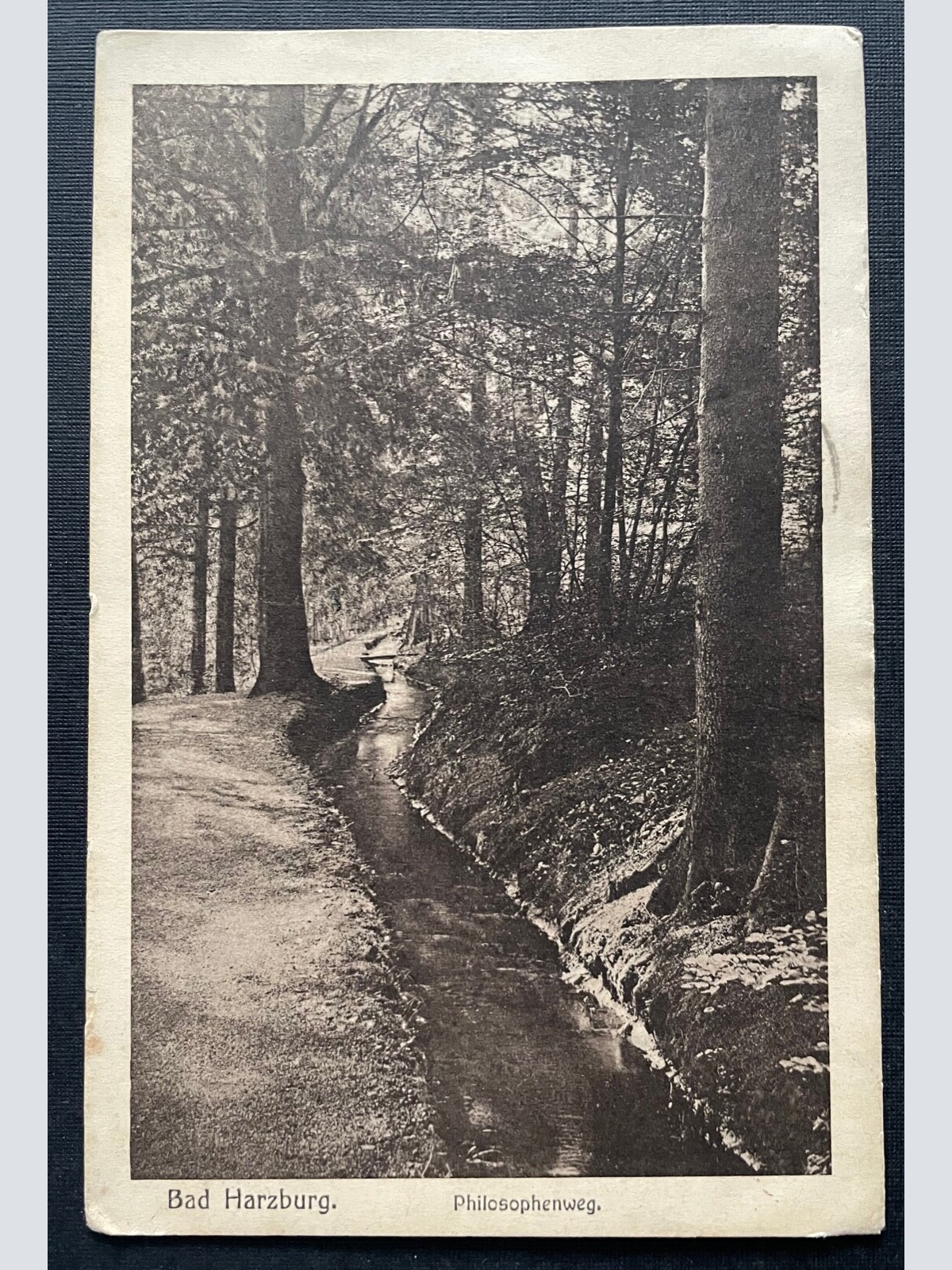 Bad Harzburg Philosophenweg Wald Bach Wandern Niedersachsen Deutschland 400985 A