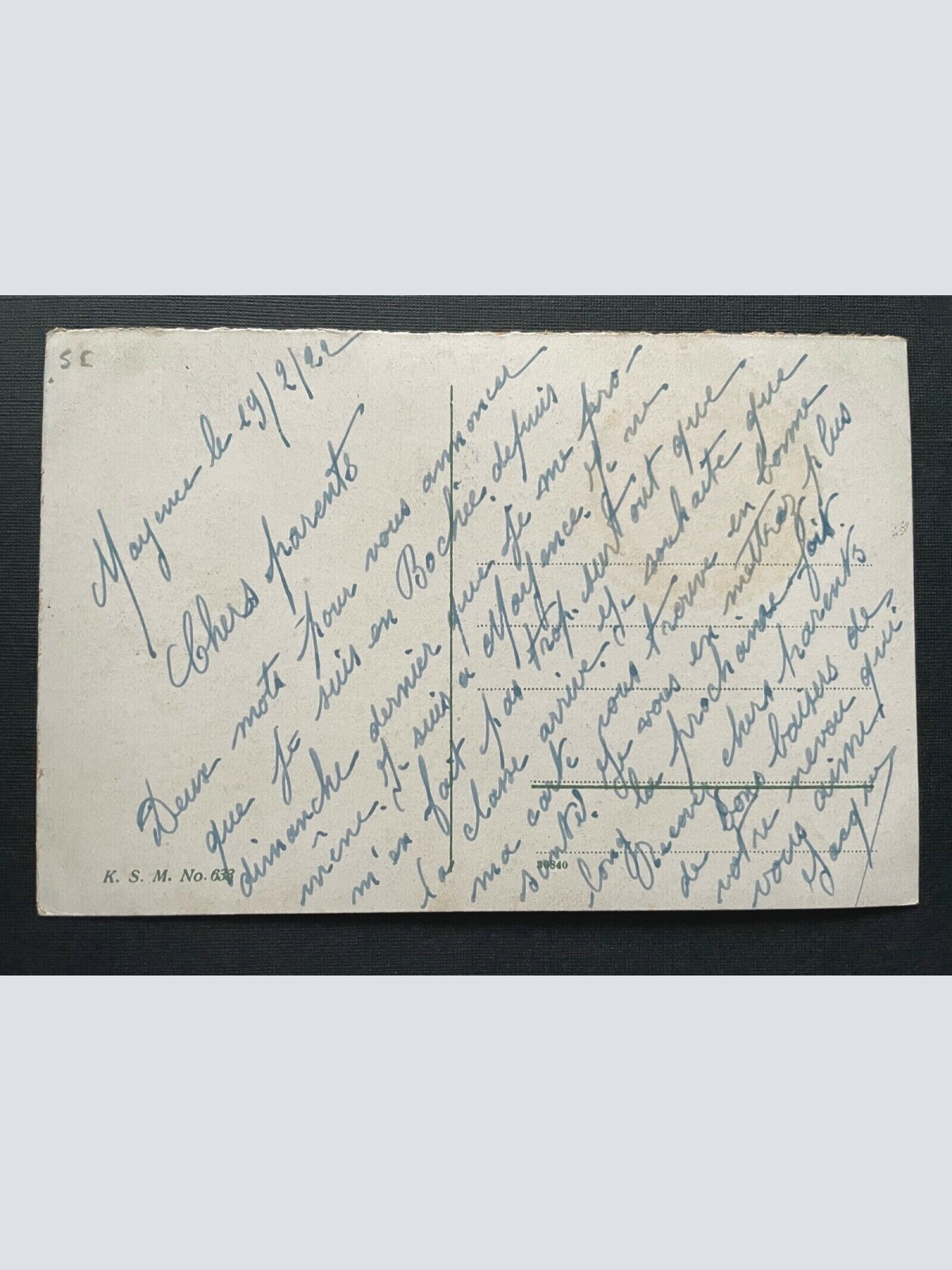 Mainz Schloss Gebäude Garten Park Rheinland-Pfalz Deutschland 401015 TH A