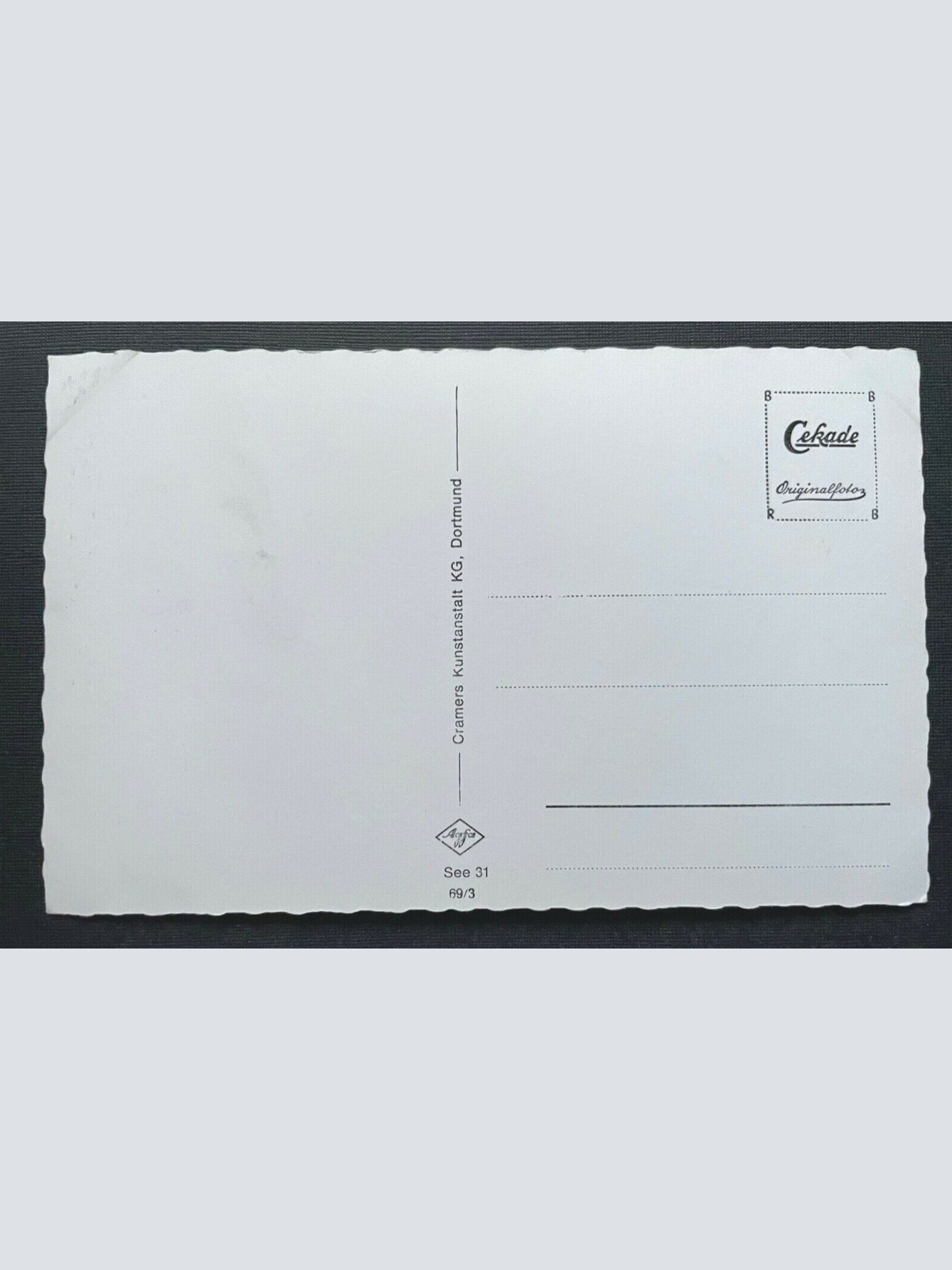 An der Nordseeküste Allee Strasse Bäume Wind Niedersachsen Deutschland 401020 A