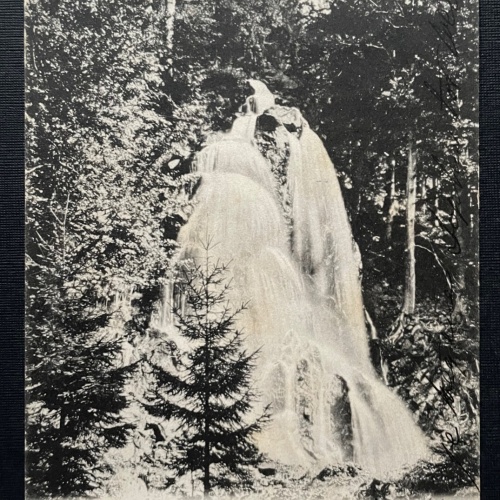 Radau Wasserfall bei Harzburg Bad Wald Niedersachsen Deutschland 400984 TH