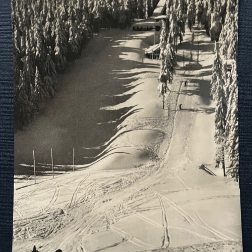 Eckerloch Sprungschanze Harz Schnee Berg Sachsen-Anhalt Deutschland 401014 TH A