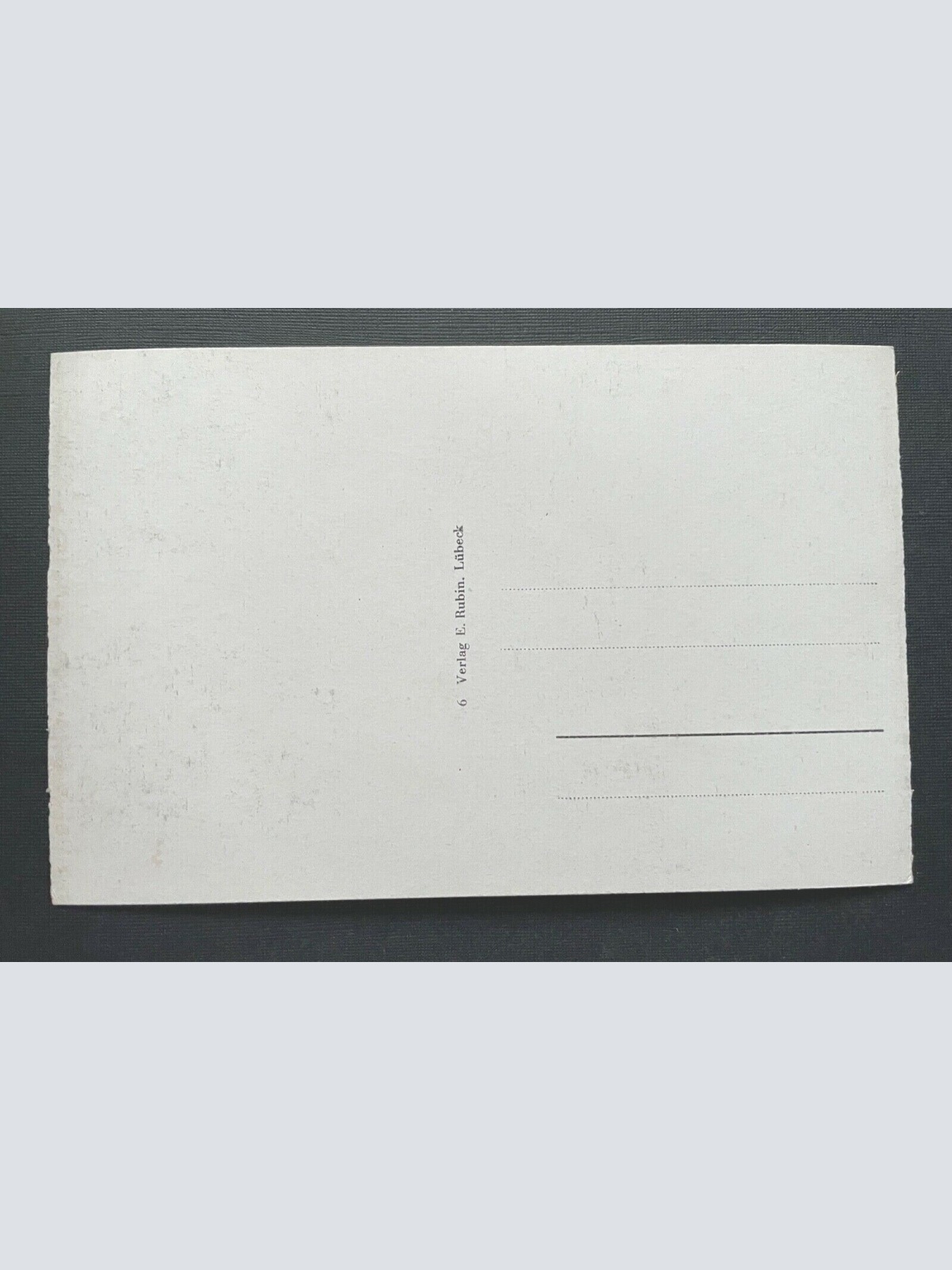 Auftauchender Seehund in der Nordsee Tier Robbe Meer Deutschland 401006 TH A