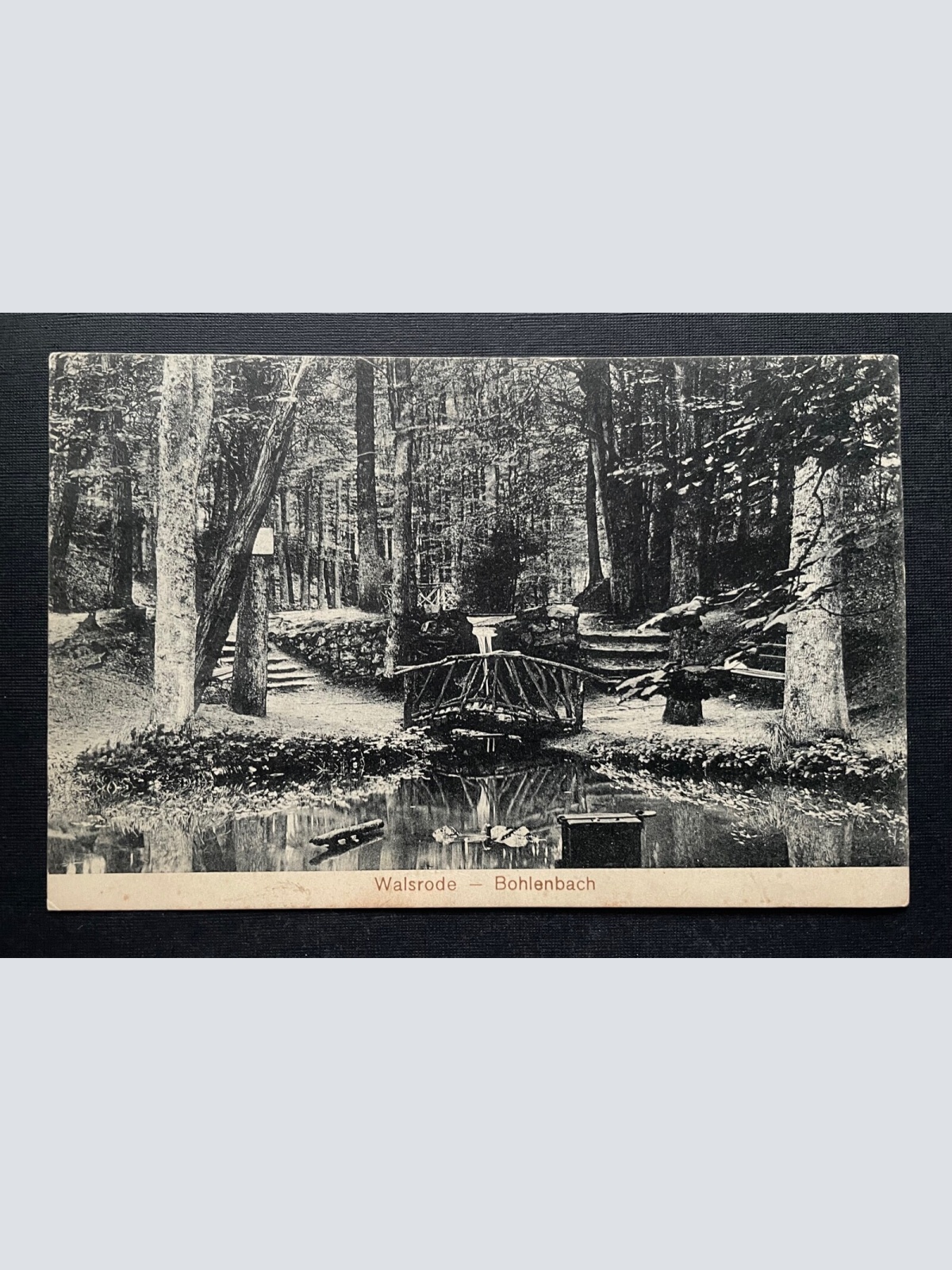 Walsrode Bohlenbach Teich Brücke Wald Baum Niedersachsen Deutschland 401007 A