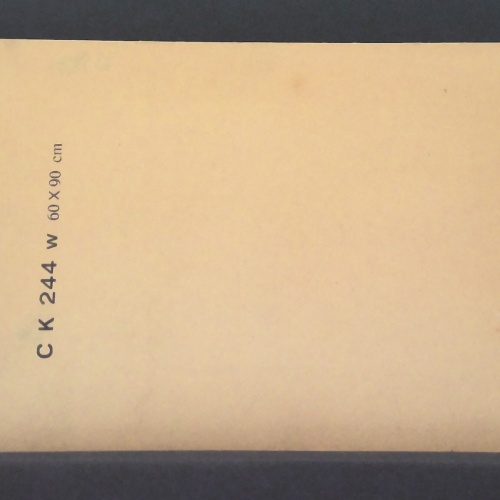 Marie Eugenie della Grazie Dichterin Österreich Porträt Zeichnung JW 650427 C