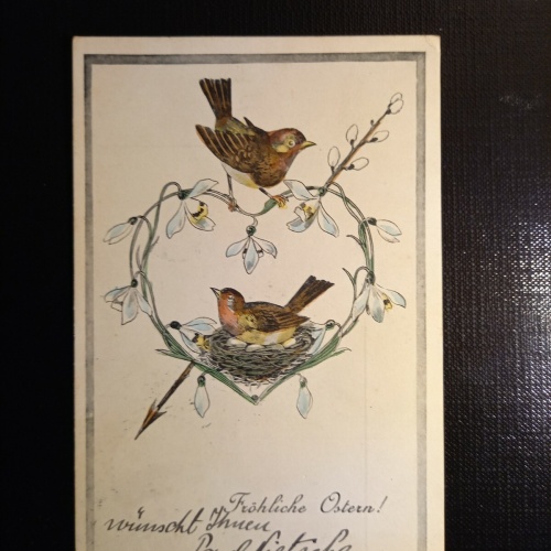 Glückwunschkarte zwei Vogerl mit Nest 410558 gr
