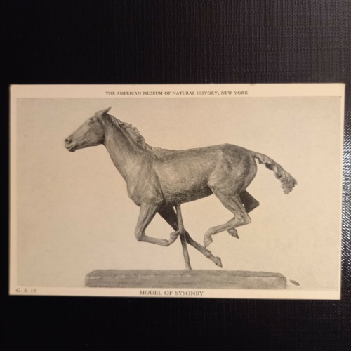 New York,  Model of Sysonby. 400095 gr