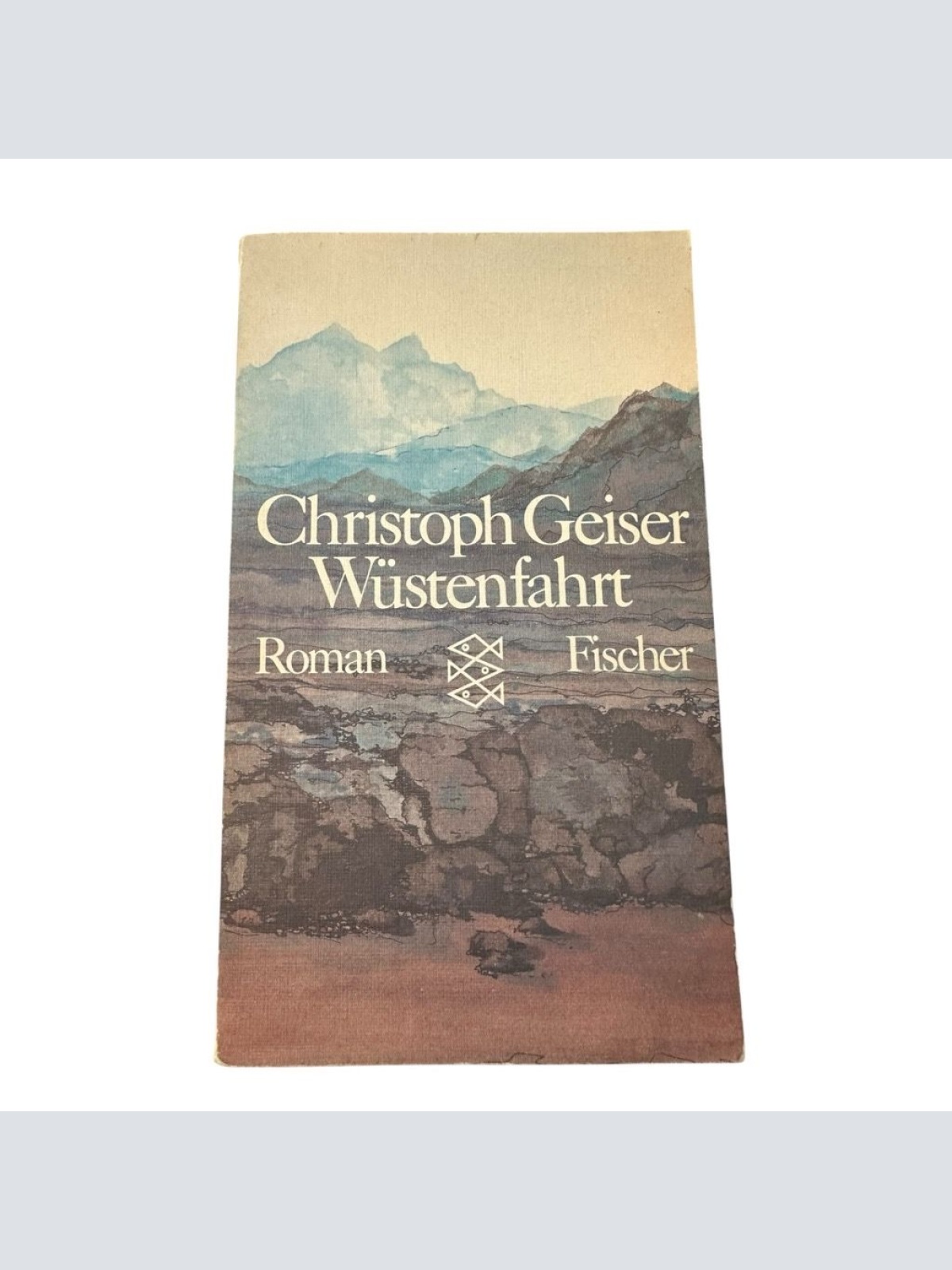 Wüstenfahrt: Roman (Fischer Taschenbücher) Geiser, Christoph: