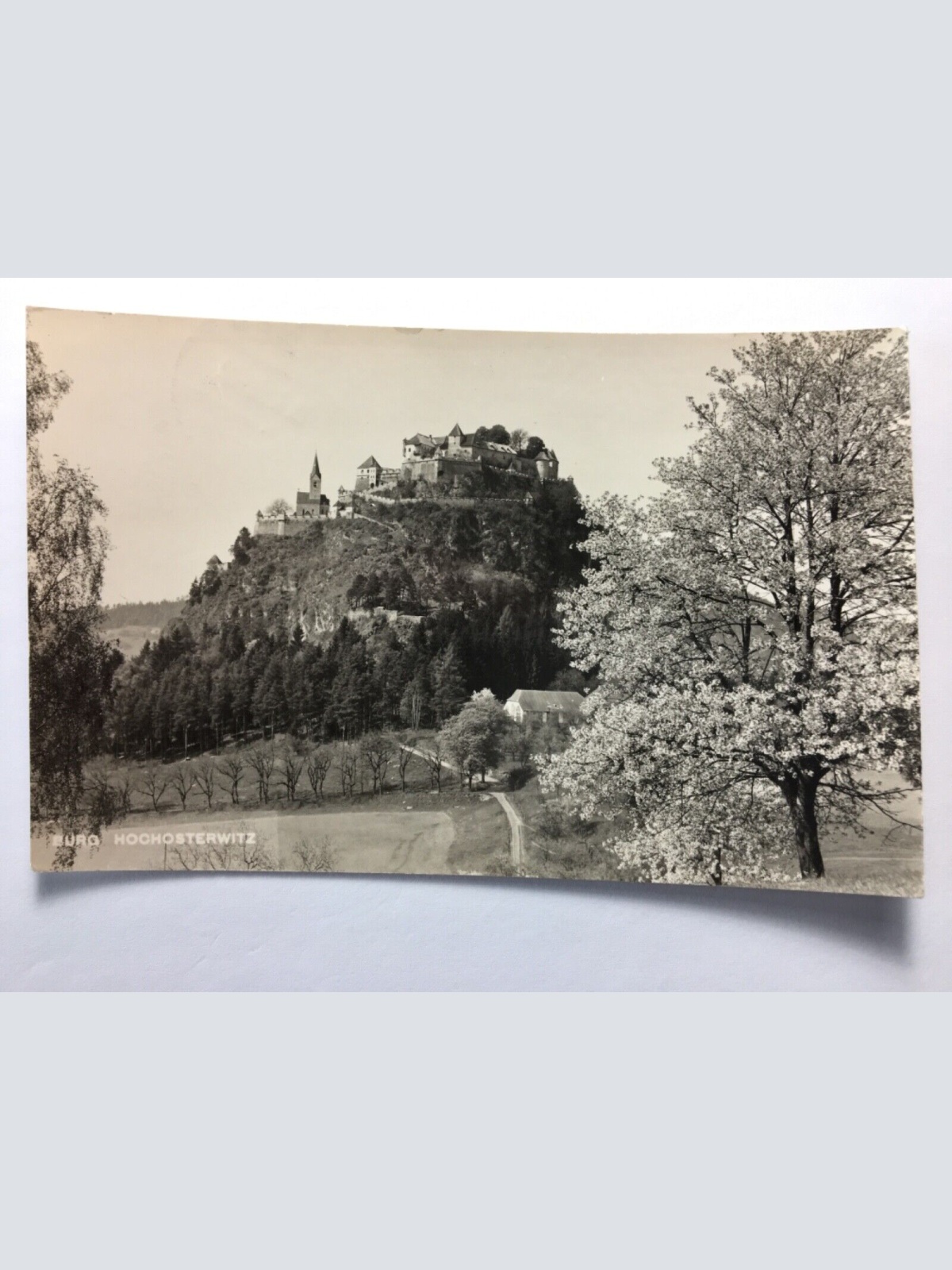 Burg Hochosterwitz 11024