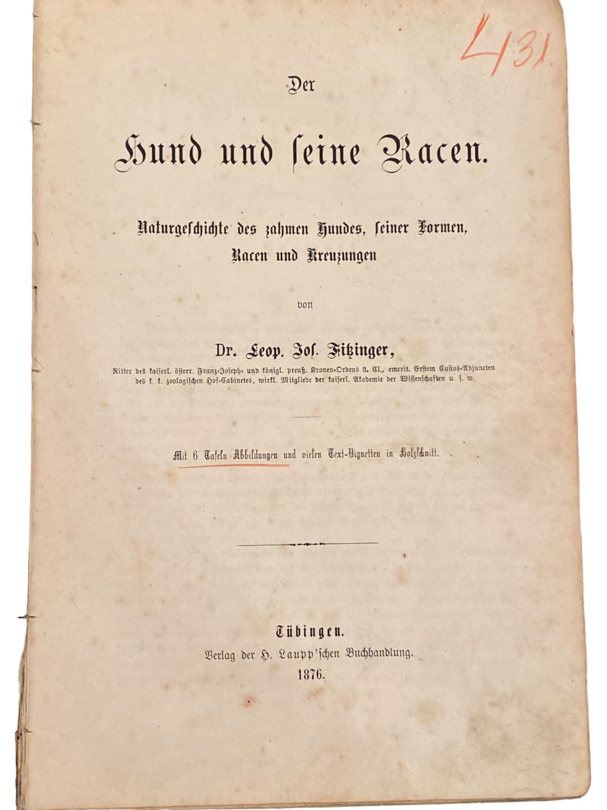4235 Leopold Joseph Dr. Fitzinger DER HUND UND SEINE RACEN. HC +Illus