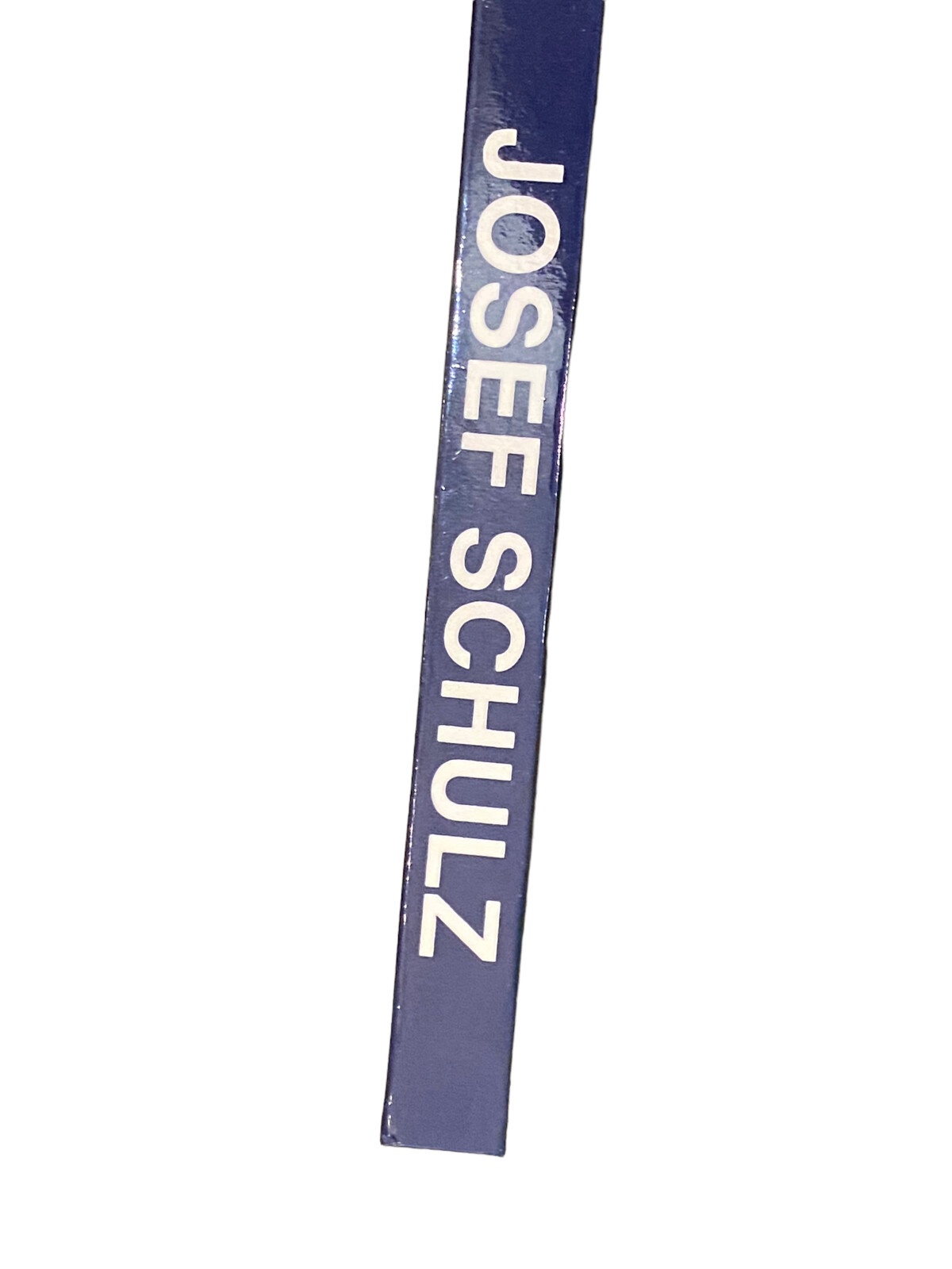 4561 Albin Rohrmoser DER MALER JOSEF SCHULZ 1893-1973 HC +Abb