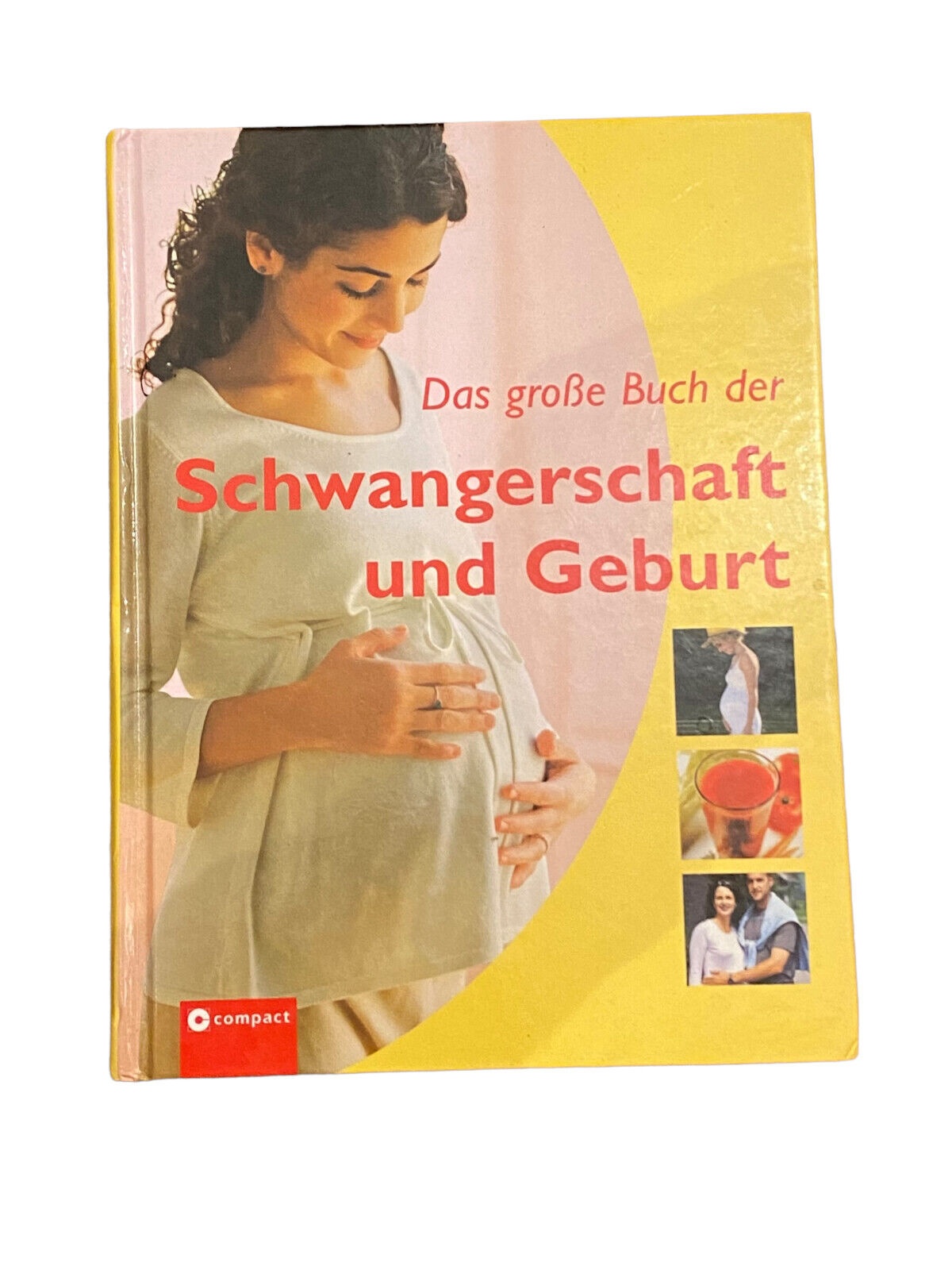 3990 Tiefenbacher DAS GROSSE BUCH DER SCHWANGERSCHAFT UND GEBURT HC +Abb