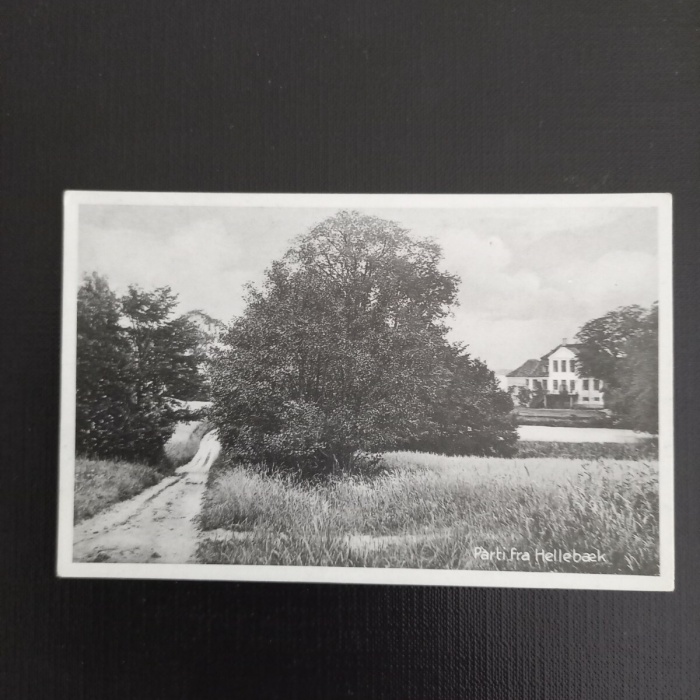 Parti fra Hellebaek 400348 gr F