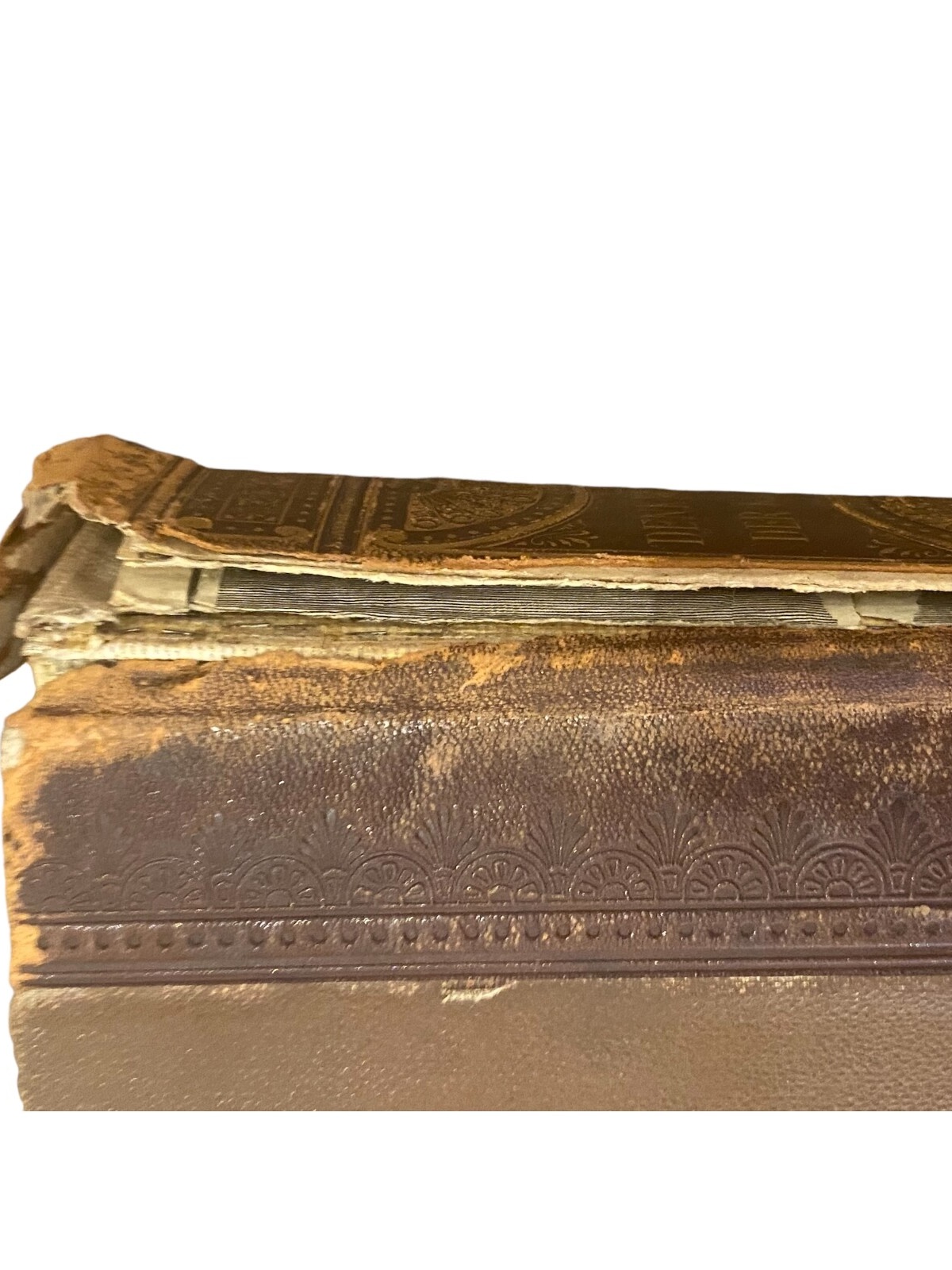 3235 Lübke DENKMÄLER DER KUNST: ZUR ÜBERSICHT IHRES ENTWICKELUNGSGANGES HC +A