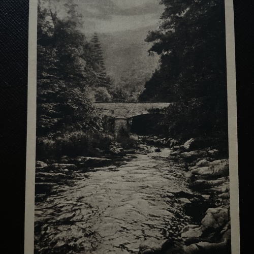 Schwarzatal. Steinerne Brücke. 400730 DN A