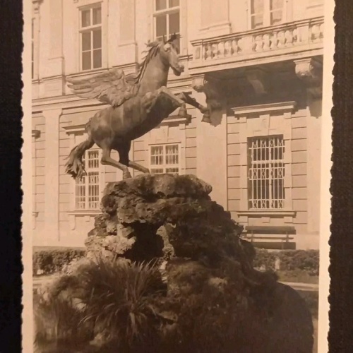 Salzburg Mirabellgarten Pferd 165338 gr K