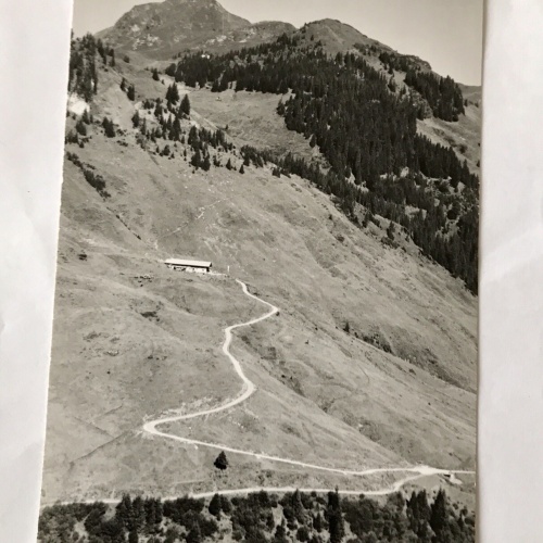 AK, Laab Alm, Spertental, Tirol, Rettenstein (110281 BW)