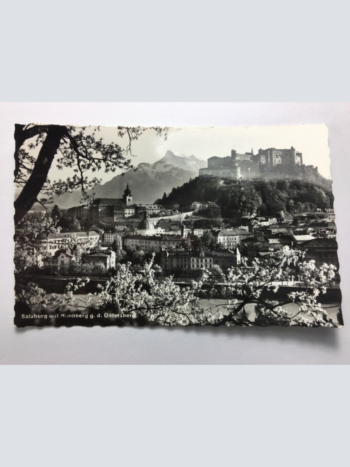 Salzburg mit Nonnberg gegen den Untersberg 11104