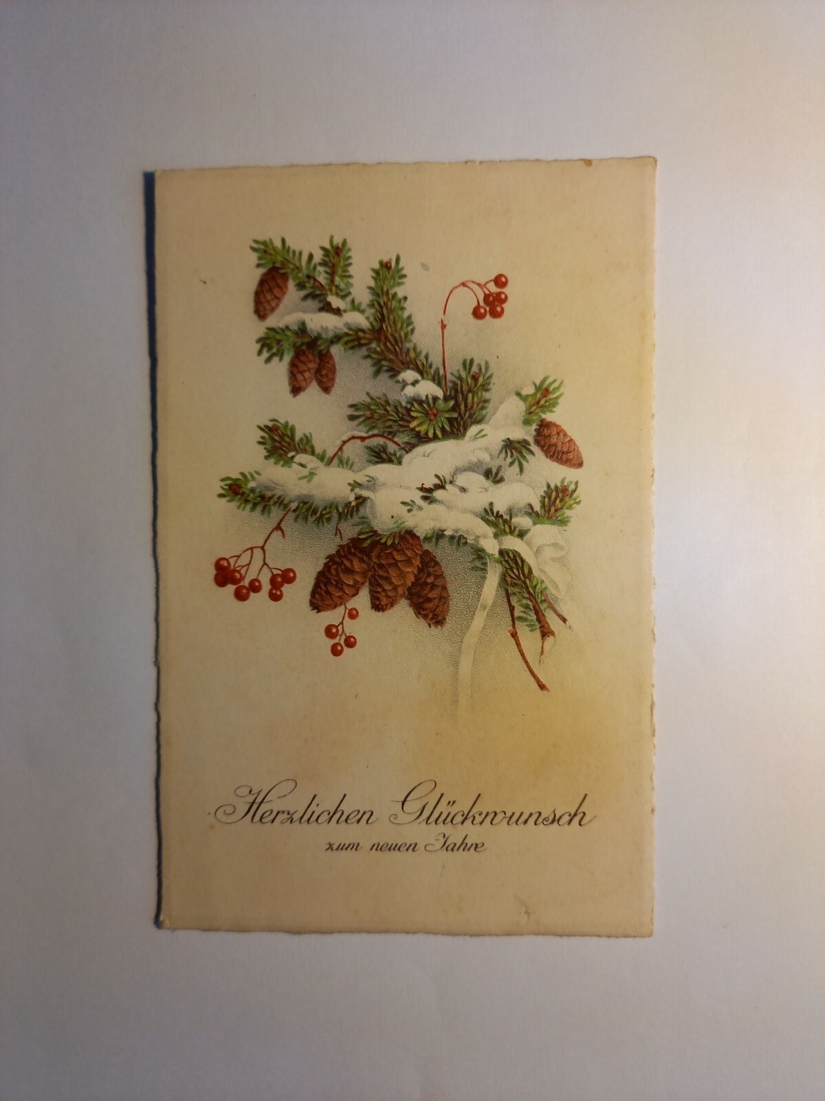 Glückwunschkarte Tannenzweig mit Schnee 85178 GR