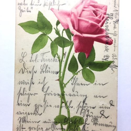 Rose - Blume - Künstlerkarte 110061 TH