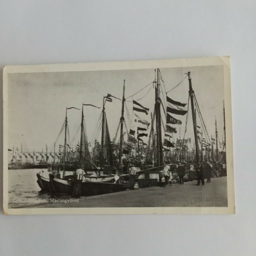 Niederlande  Scheveningen 12079