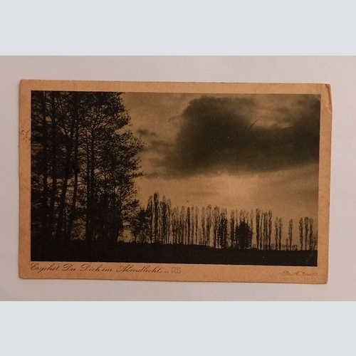 Stimmungsbild Ergehst du dich im Abendlicht 600620A gr D