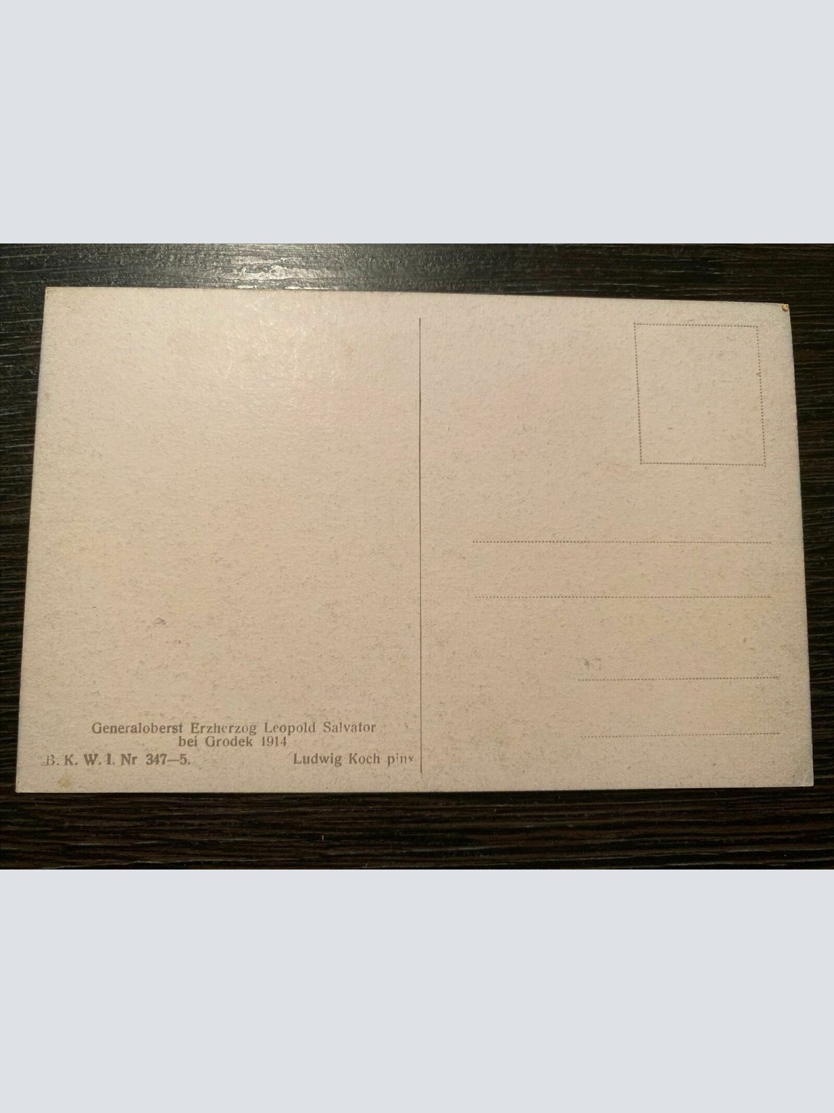 Generaloberst Erzherzog Leopold Salvator bei Grodek 1914 80003