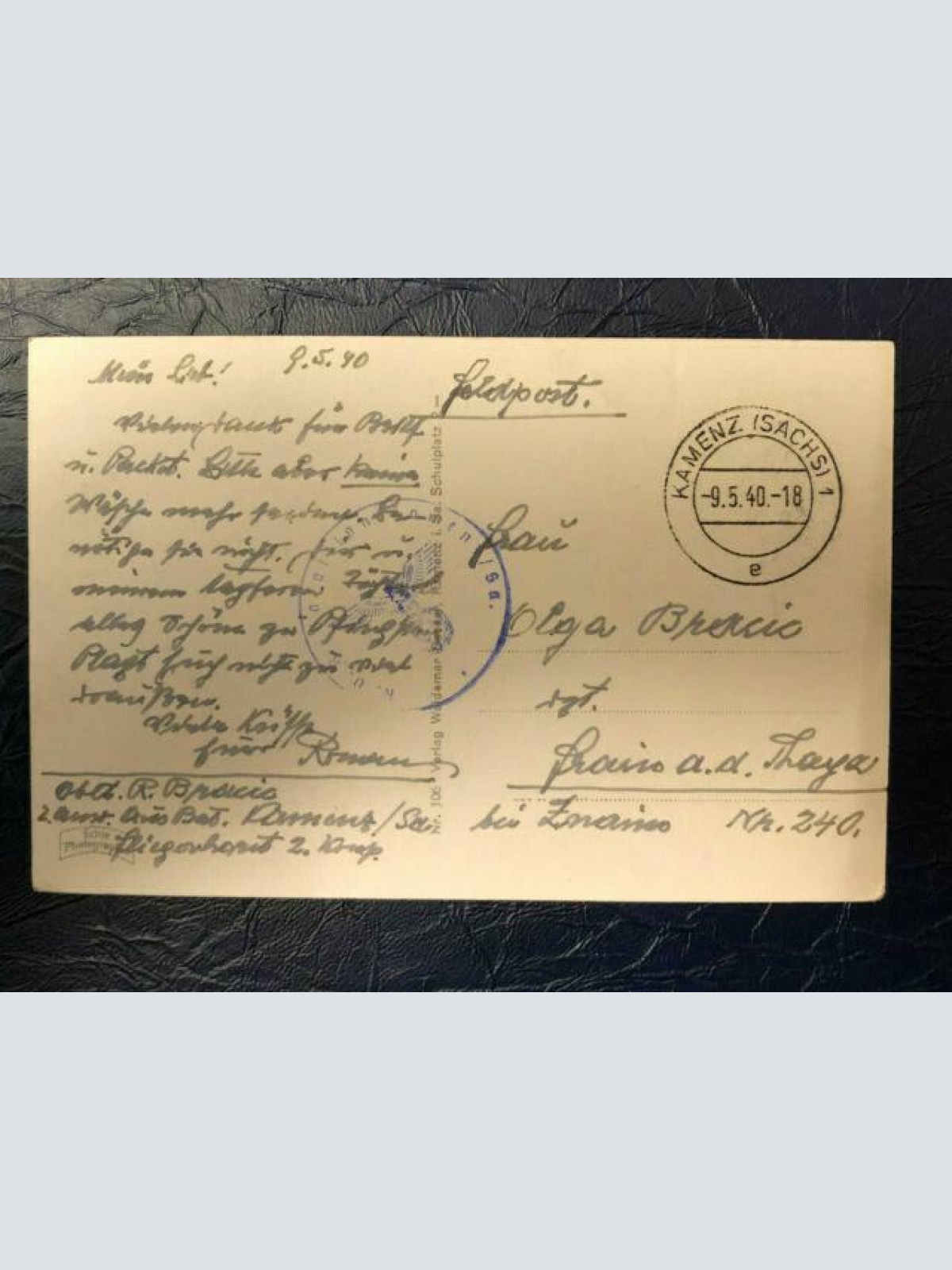 Sachsen Kamenz Blick vom Reinhardsberg  60207