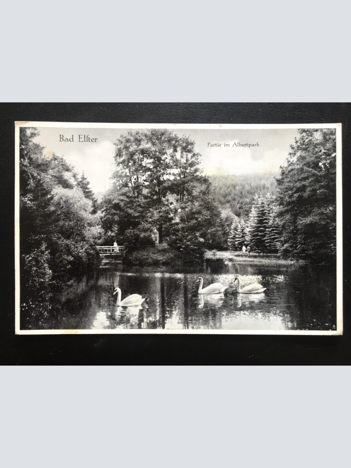 Bad Elster - Partie im Albertpark - Vogtlandkreis - Holzbrücke Schwäne 140435 TH
